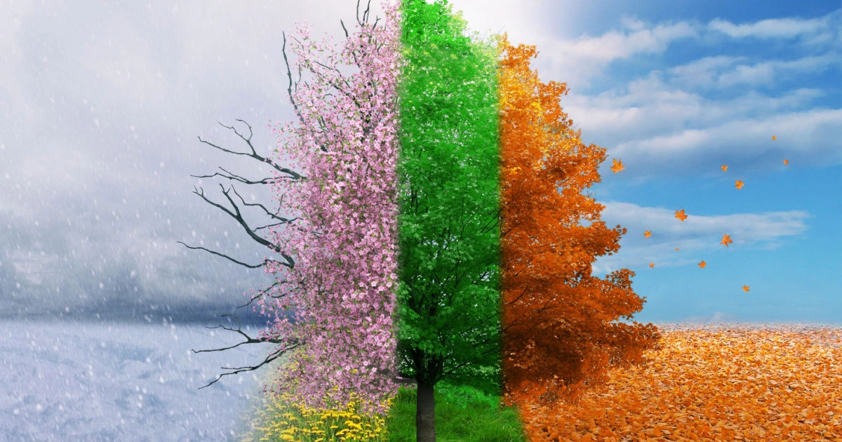 Why Personalised Gifts Are the Perfect Choice for Every Special Occasion