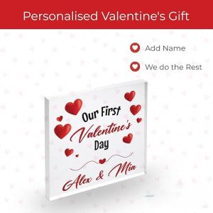 Cute Paperweight Decor Presents